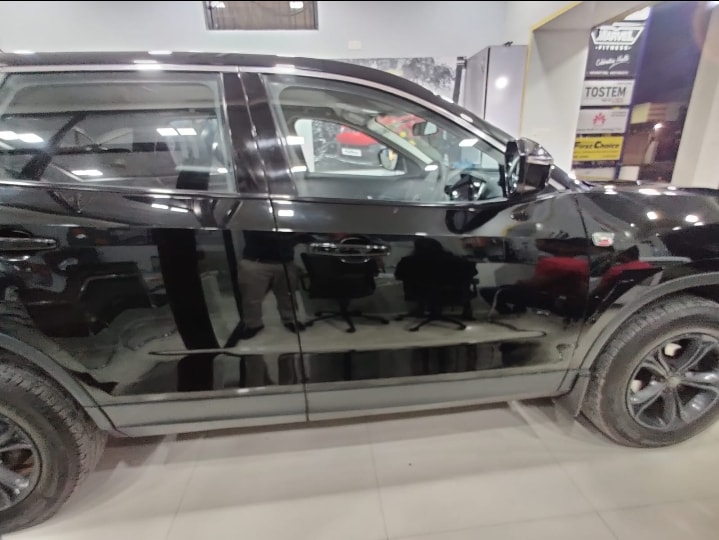 Harrier image 6 Harrier image 6