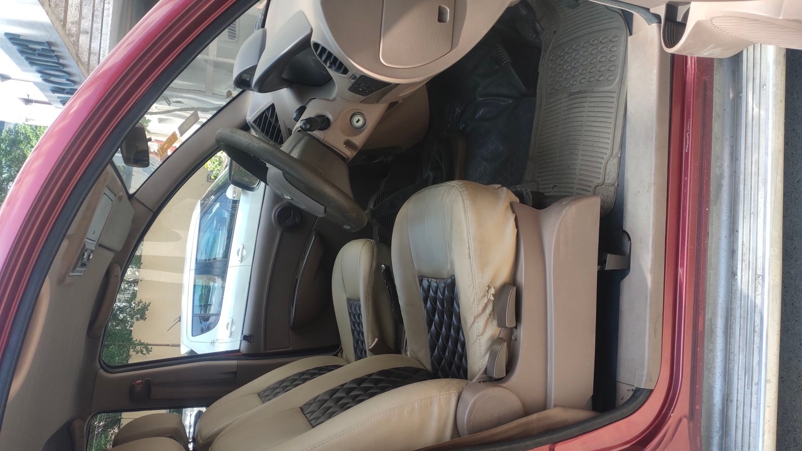 Xylo image 17 Xylo image 17