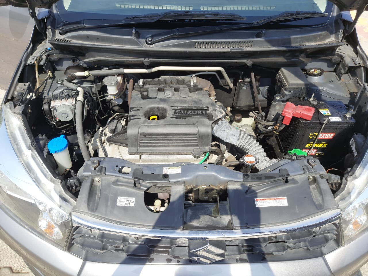 Celerio image 15 Celerio image 15