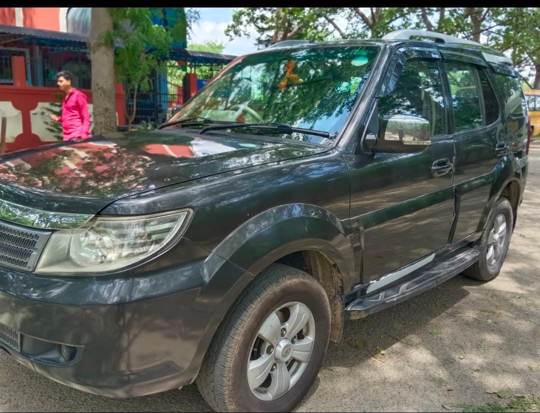 Safari Storme image 1 Safari Storme image 1