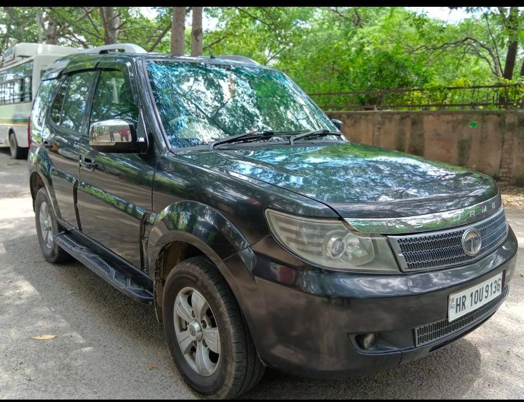 Safari Storme image 5 Safari Storme image 5