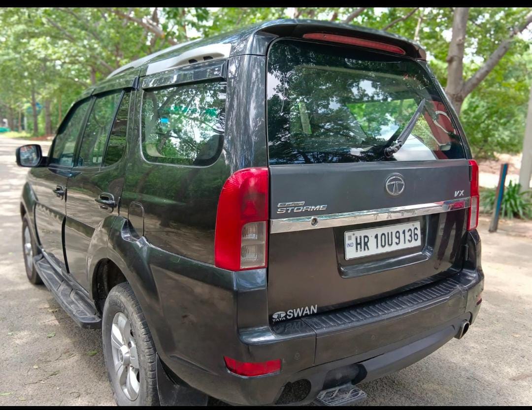 Safari Storme image 2 Safari Storme image 2