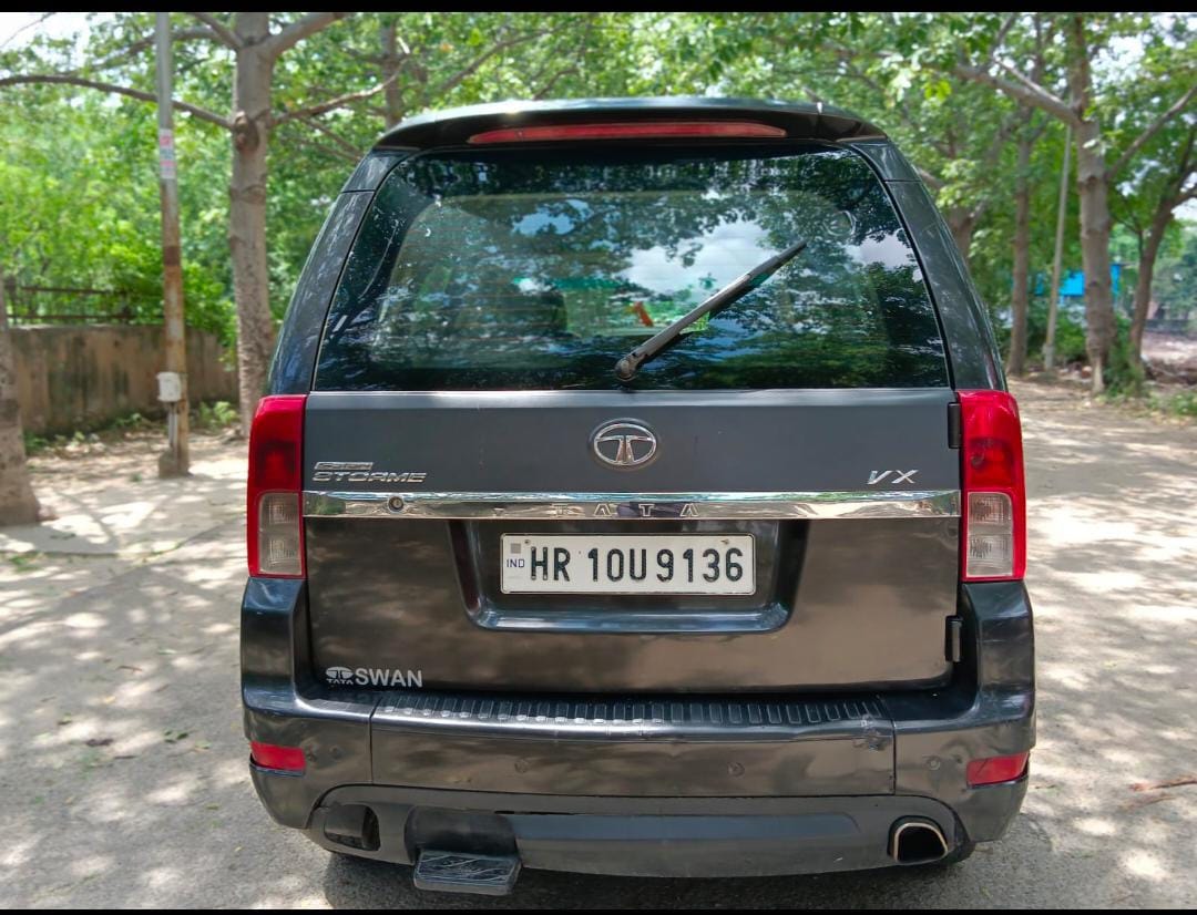 Safari Storme image 3 Safari Storme image 3