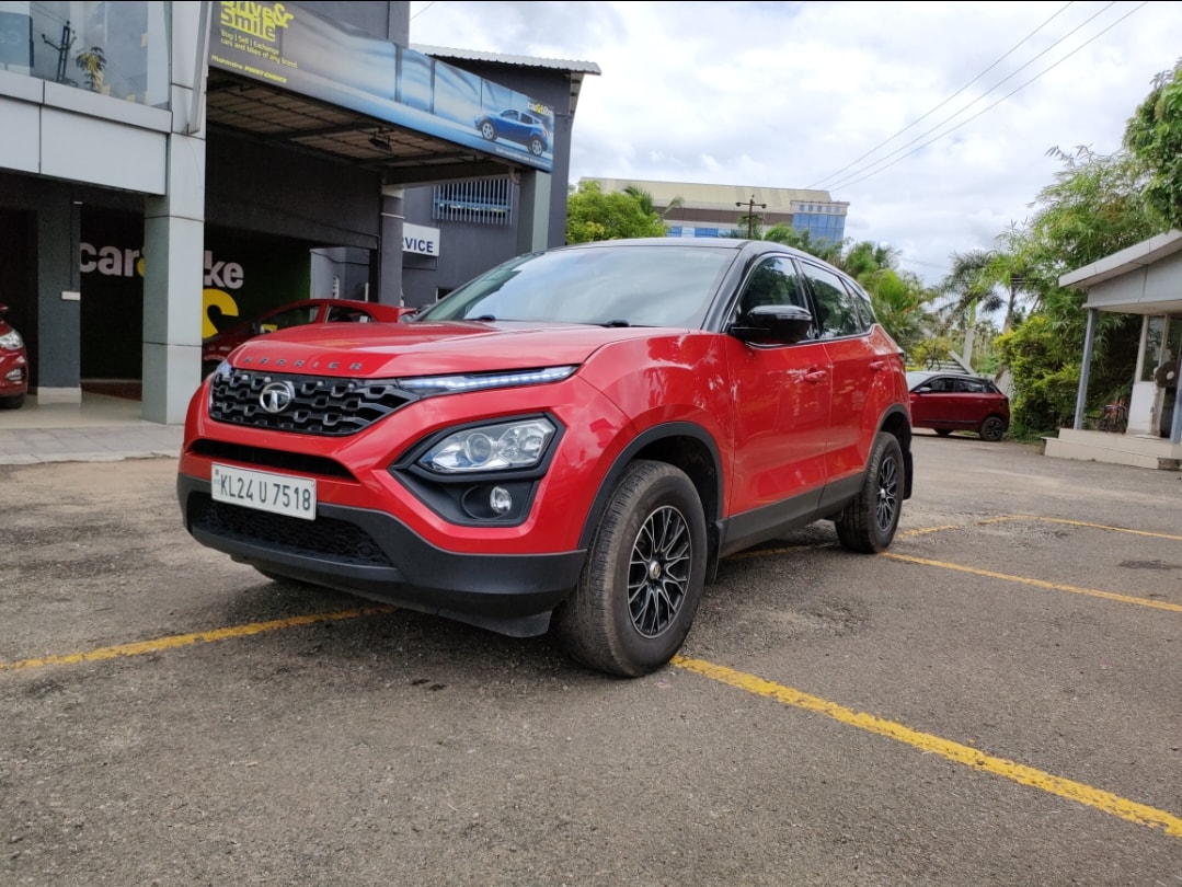 Harrier image 1 Harrier image 1