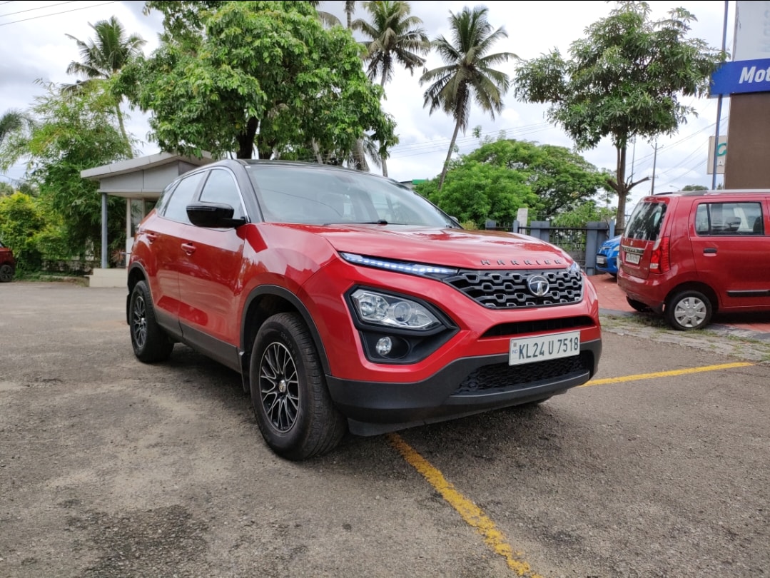 Harrier image 7 Harrier image 7