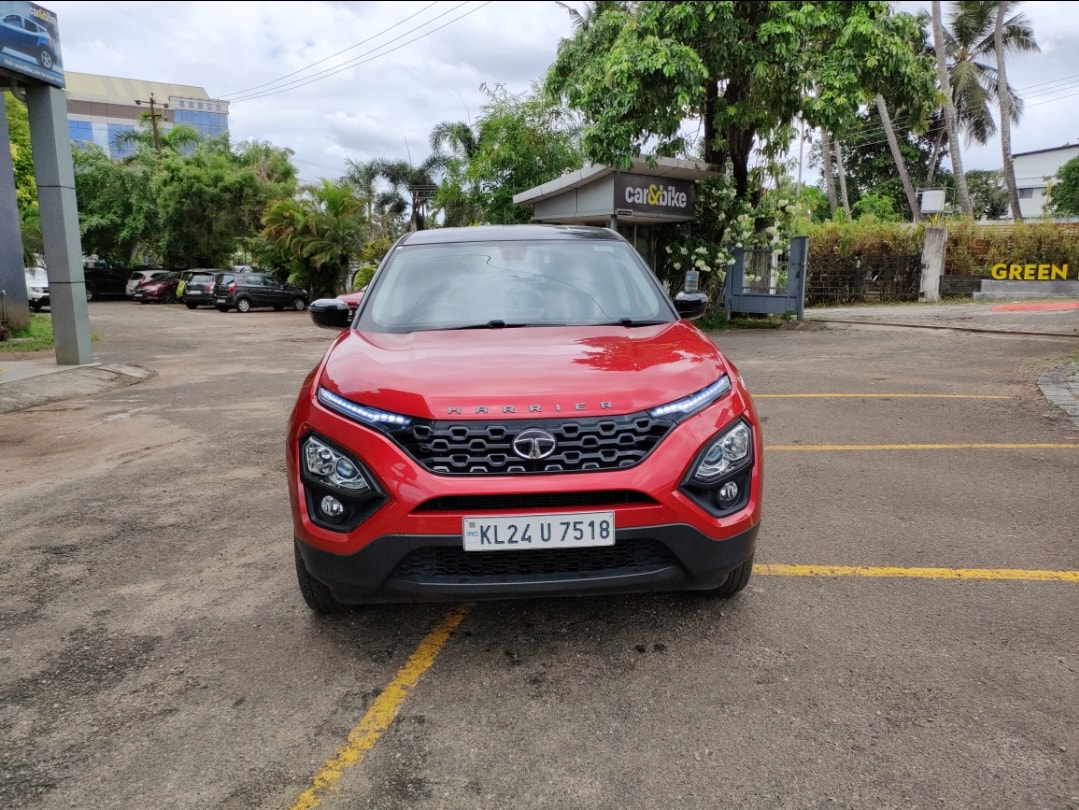 Harrier image 8 Harrier image 8