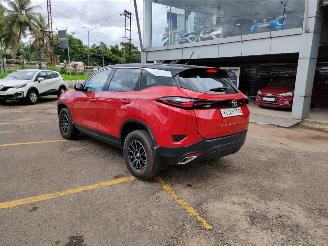 Harrier image 3 Harrier image 3