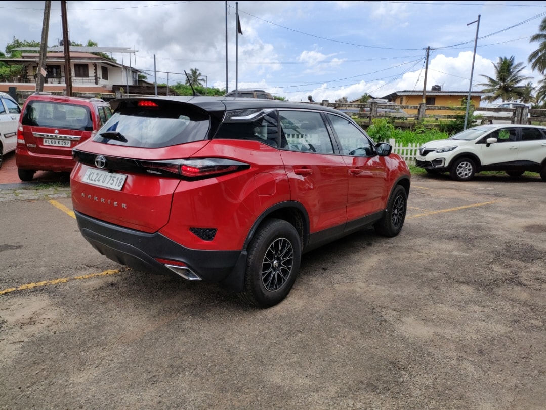 Harrier image 5 Harrier image 5