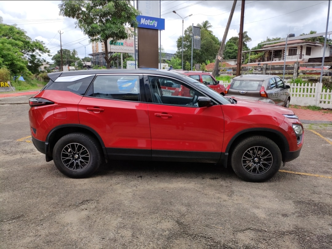 Harrier image 6 Harrier image 6