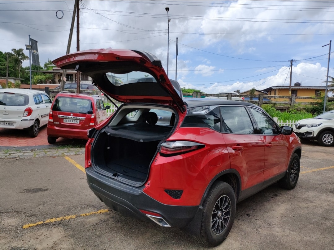 Harrier image 10 Harrier image 10