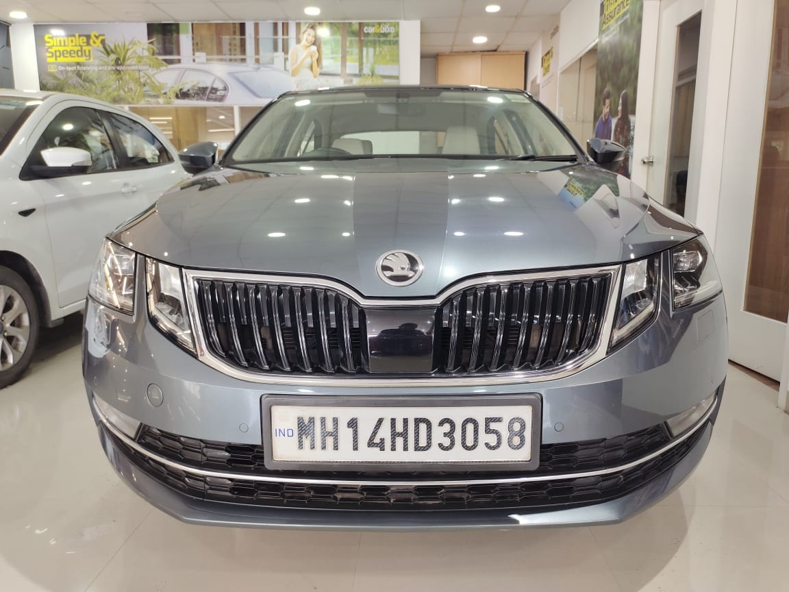 Octavia image 5 Octavia image 5