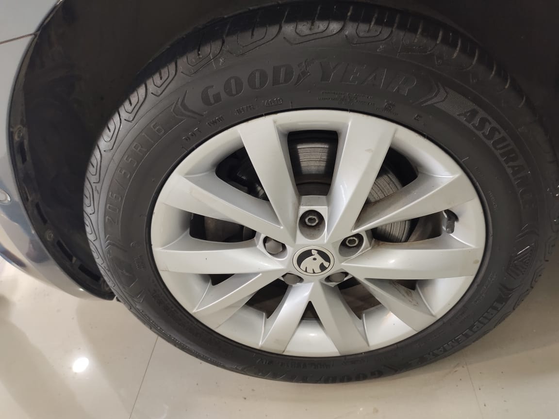 Octavia image 6 Octavia image 6