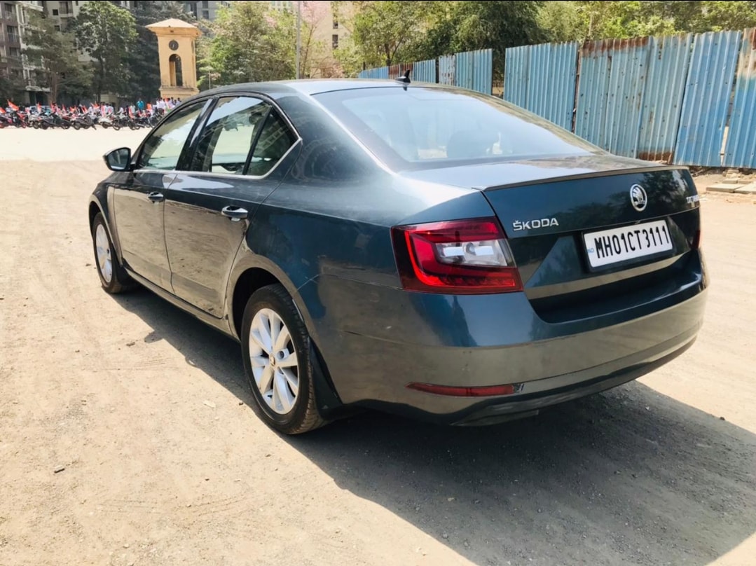 Octavia image 3 Octavia image 3