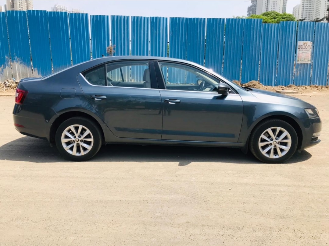 Octavia image 6 Octavia image 6