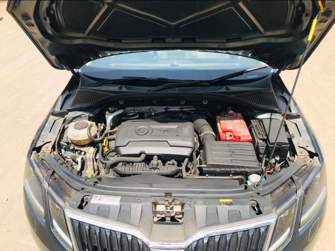 Octavia image 12 Octavia image 12