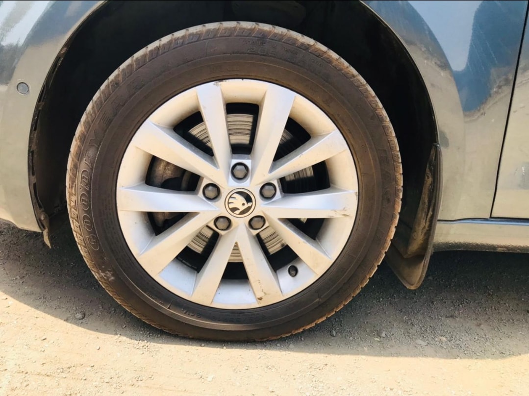 Octavia image 9 Octavia image 9