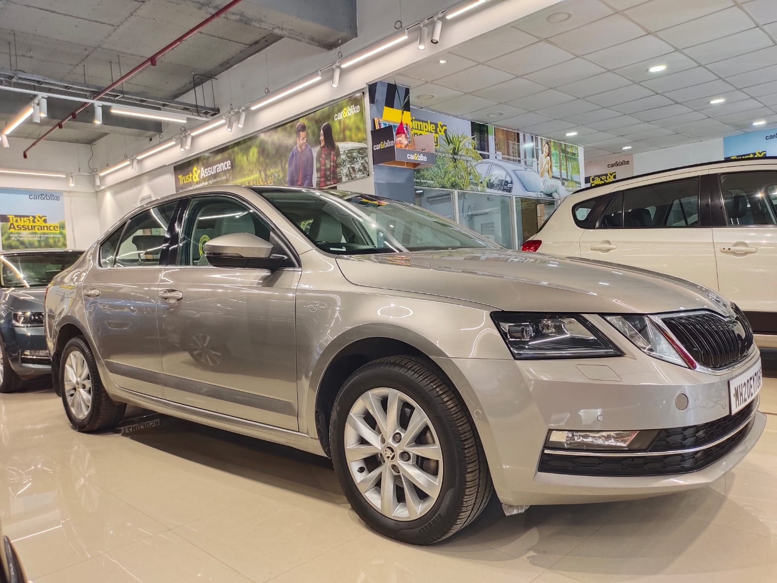 Octavia image 4 Octavia image 4