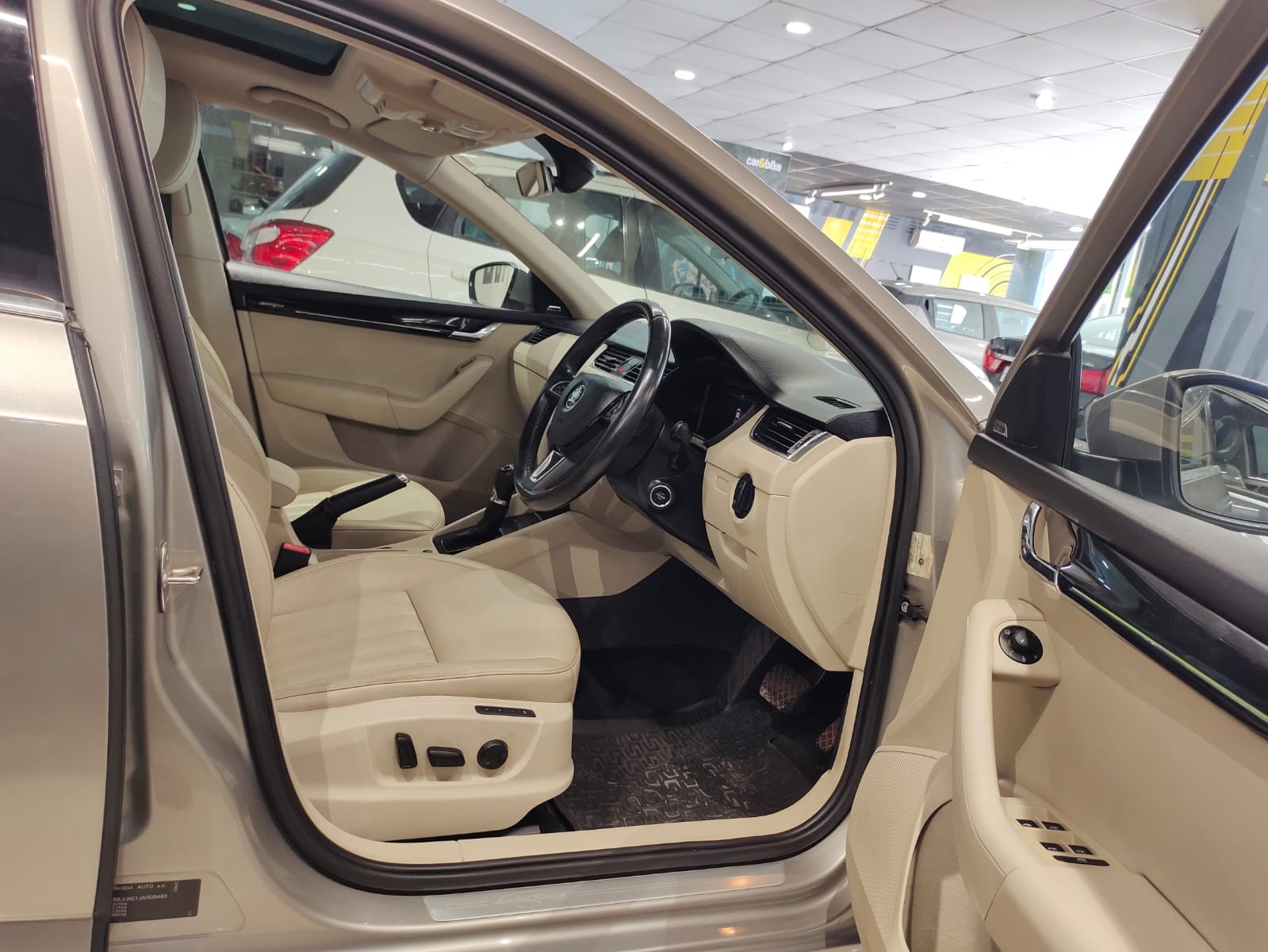 Octavia image 9 Octavia image 9