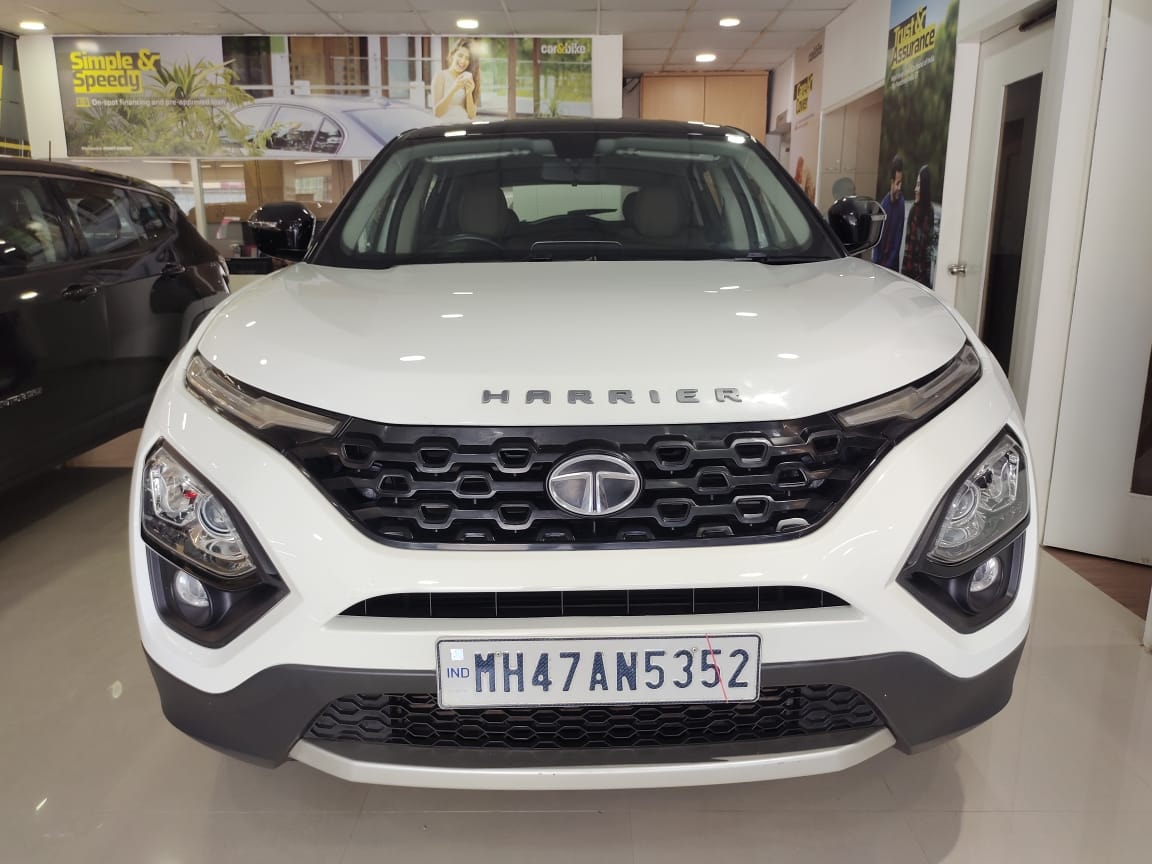 Harrier image 6 Harrier image 6