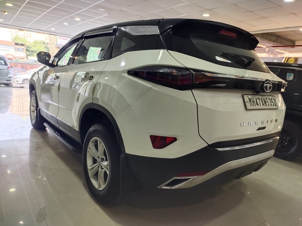 Harrier image 2 Harrier image 2