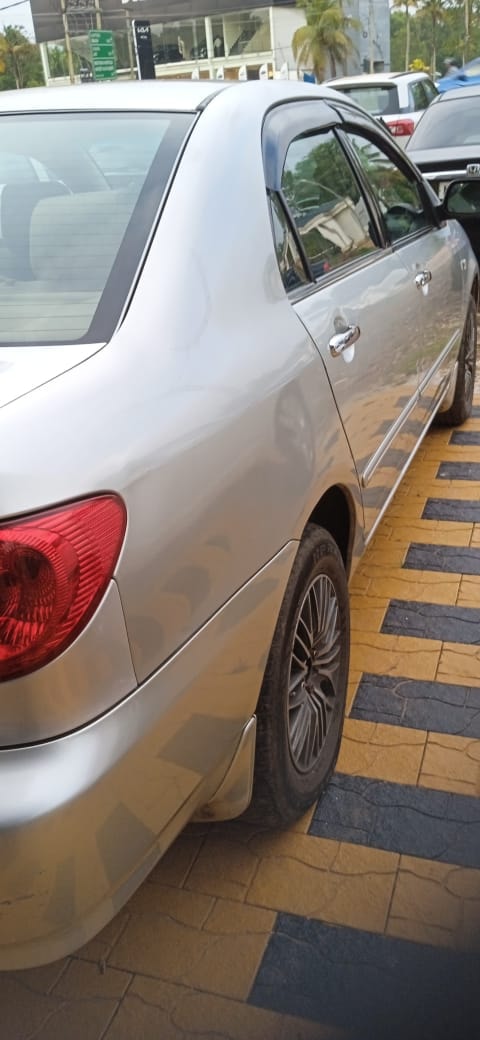 Corolla image 6 Corolla image 6