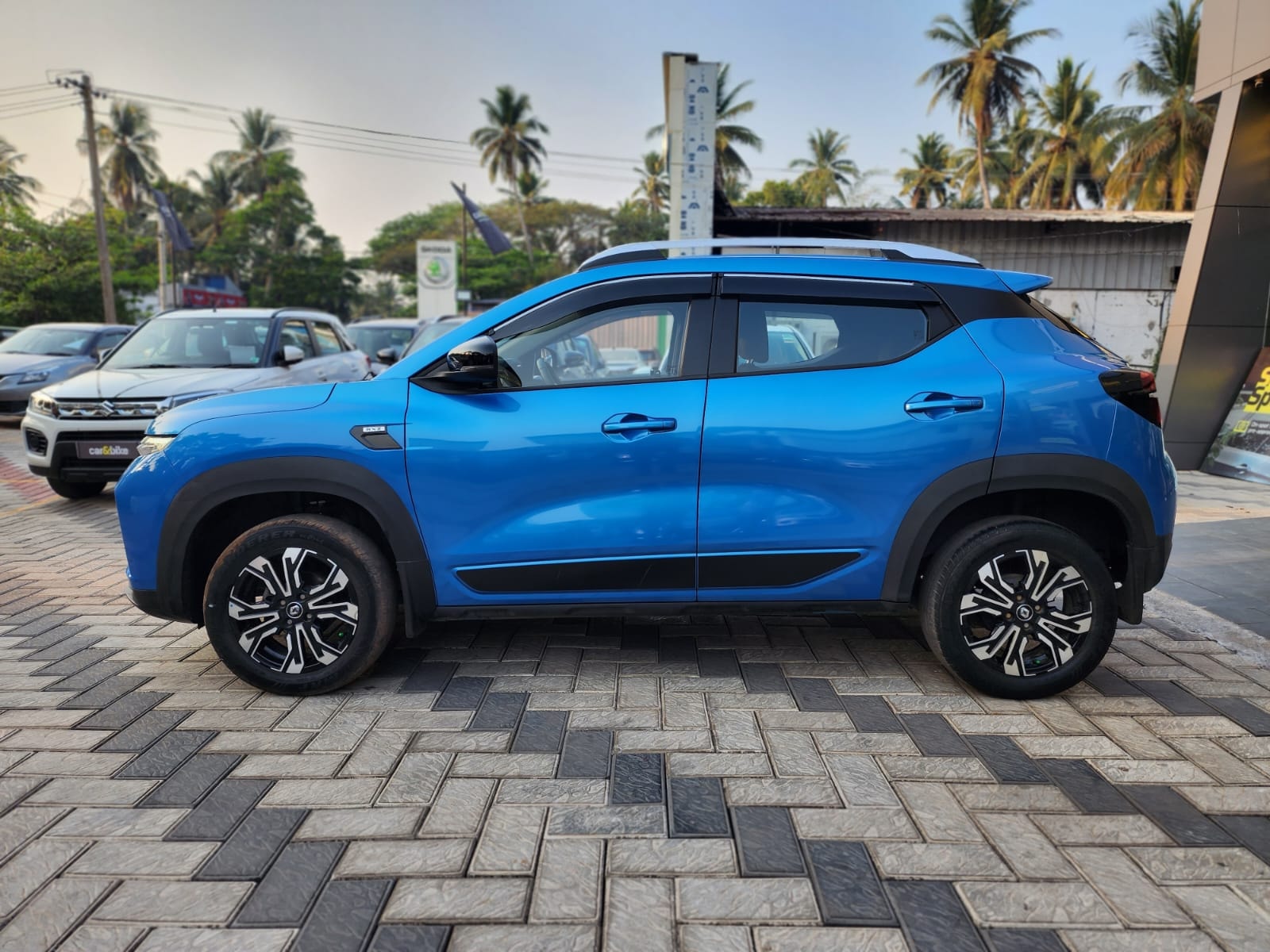 Kiger image 2 Kiger image 2