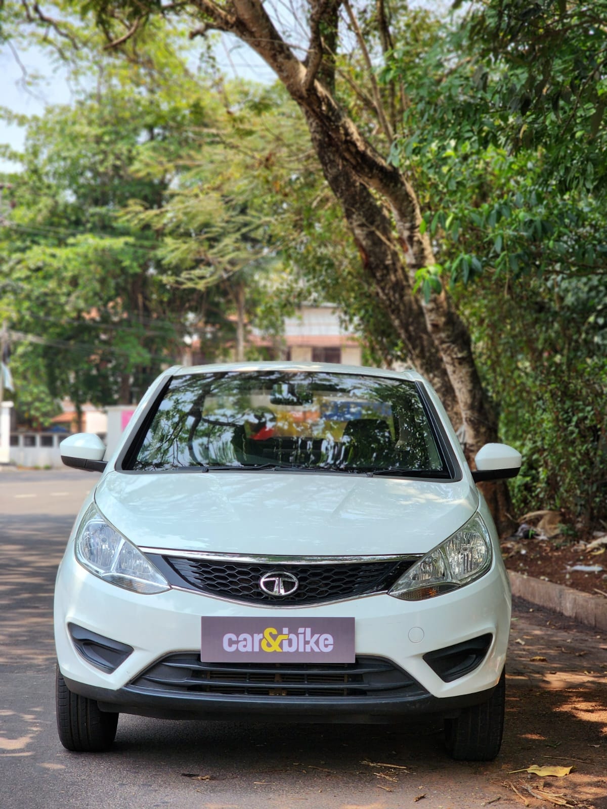 Zest image 1 Zest image 1