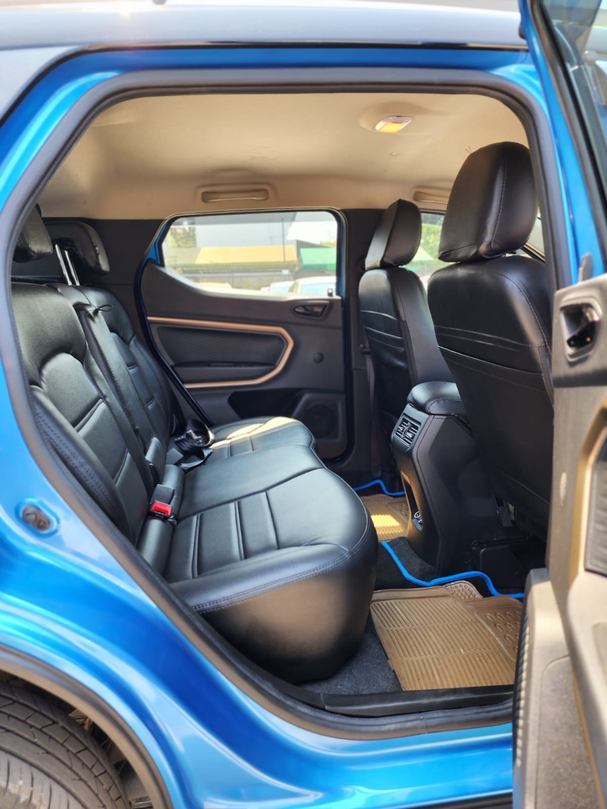 Kiger image 14 Kiger image 14