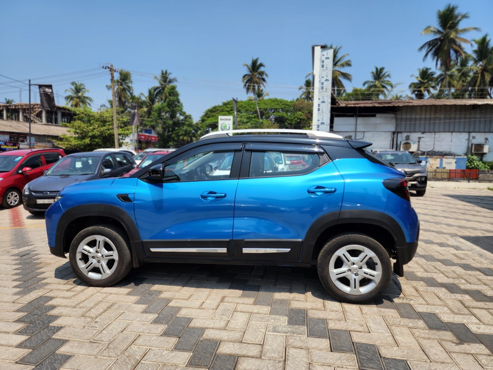 Kiger image 2 Kiger image 2