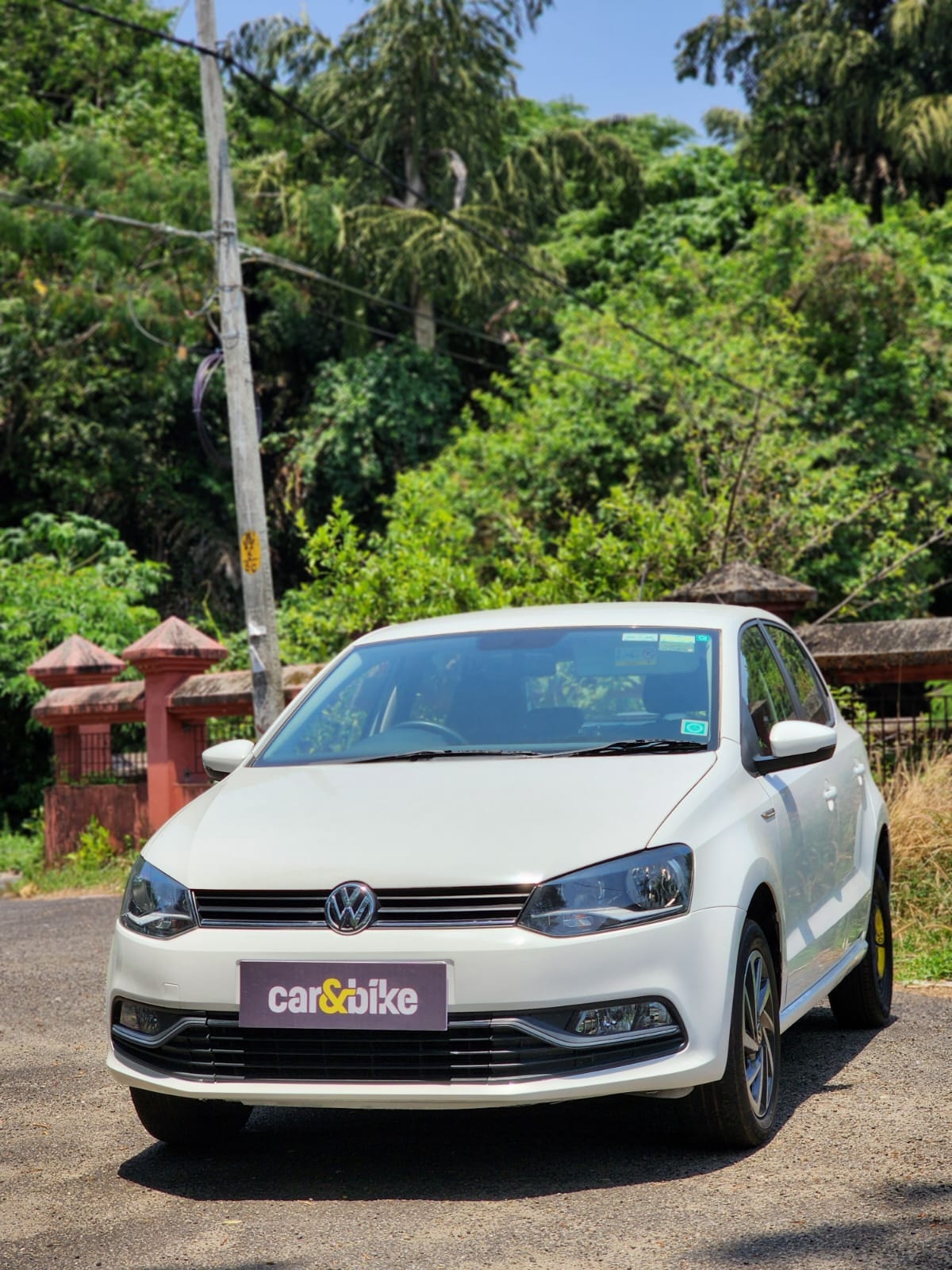 Polo image 8 Polo image 8