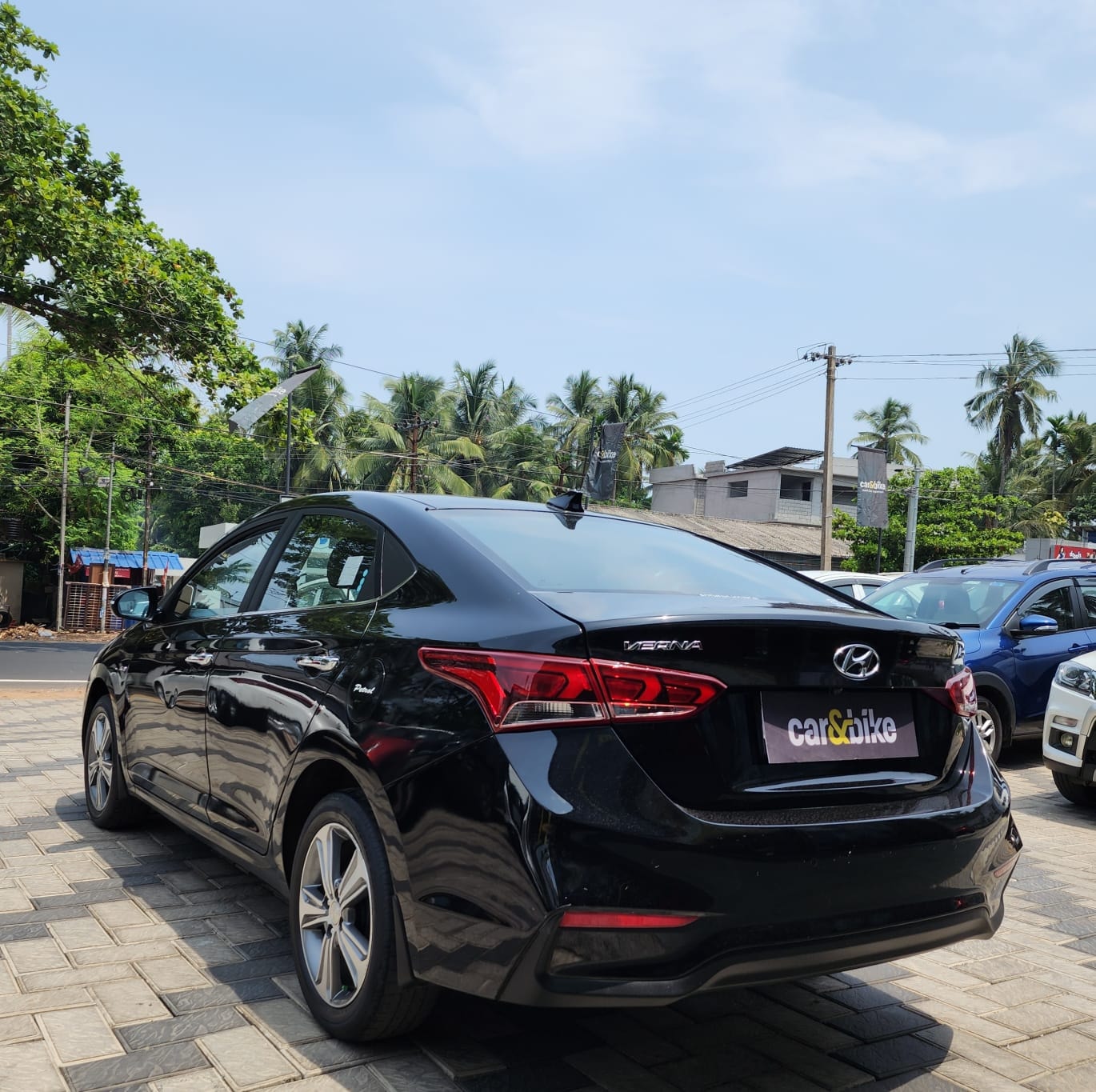 Verna image 3 Verna image 3