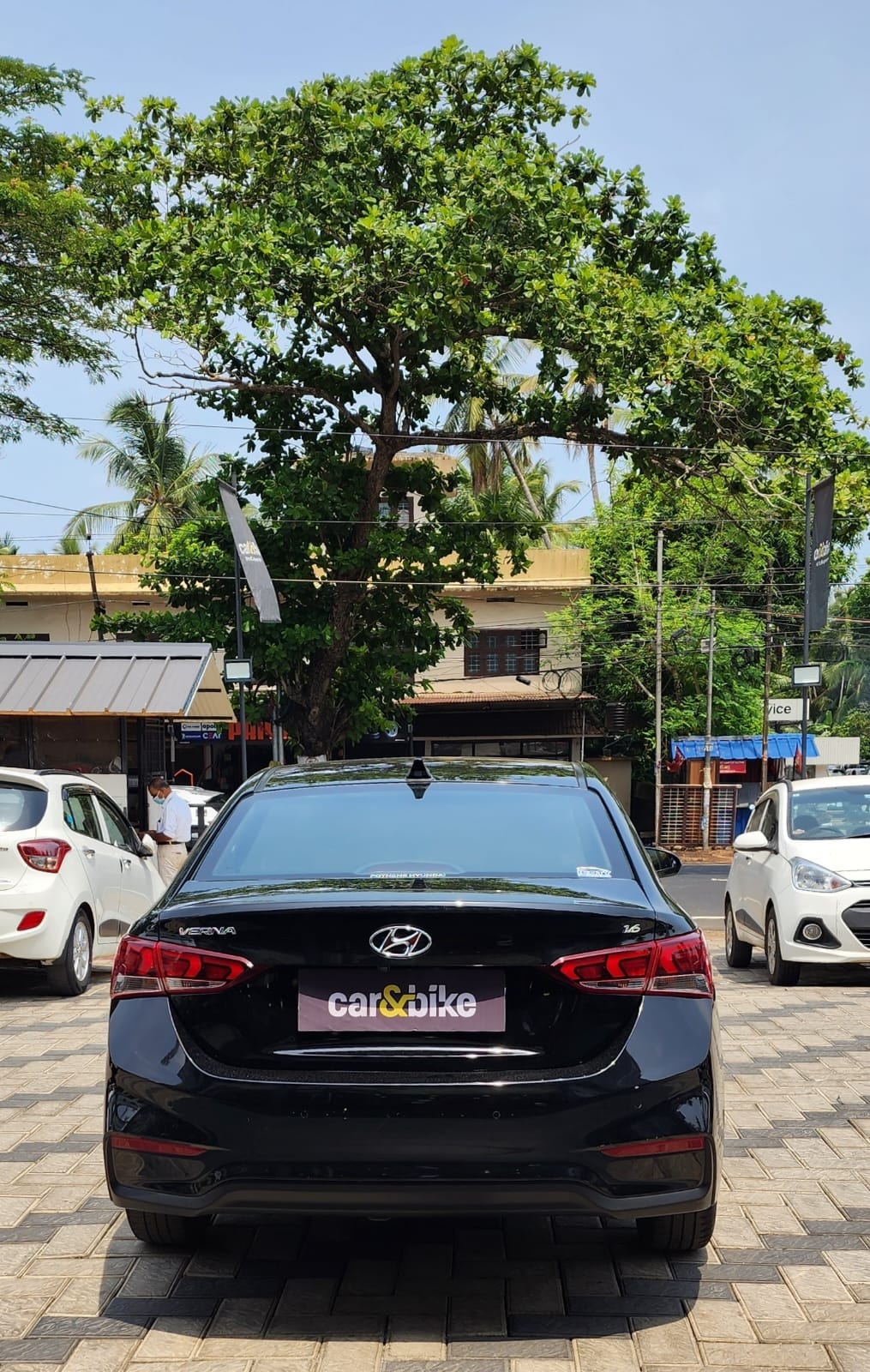 Verna image 4 Verna image 4