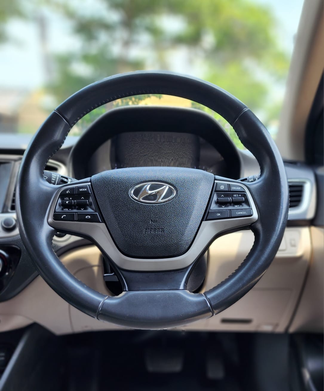 Verna image 11 Verna image 11