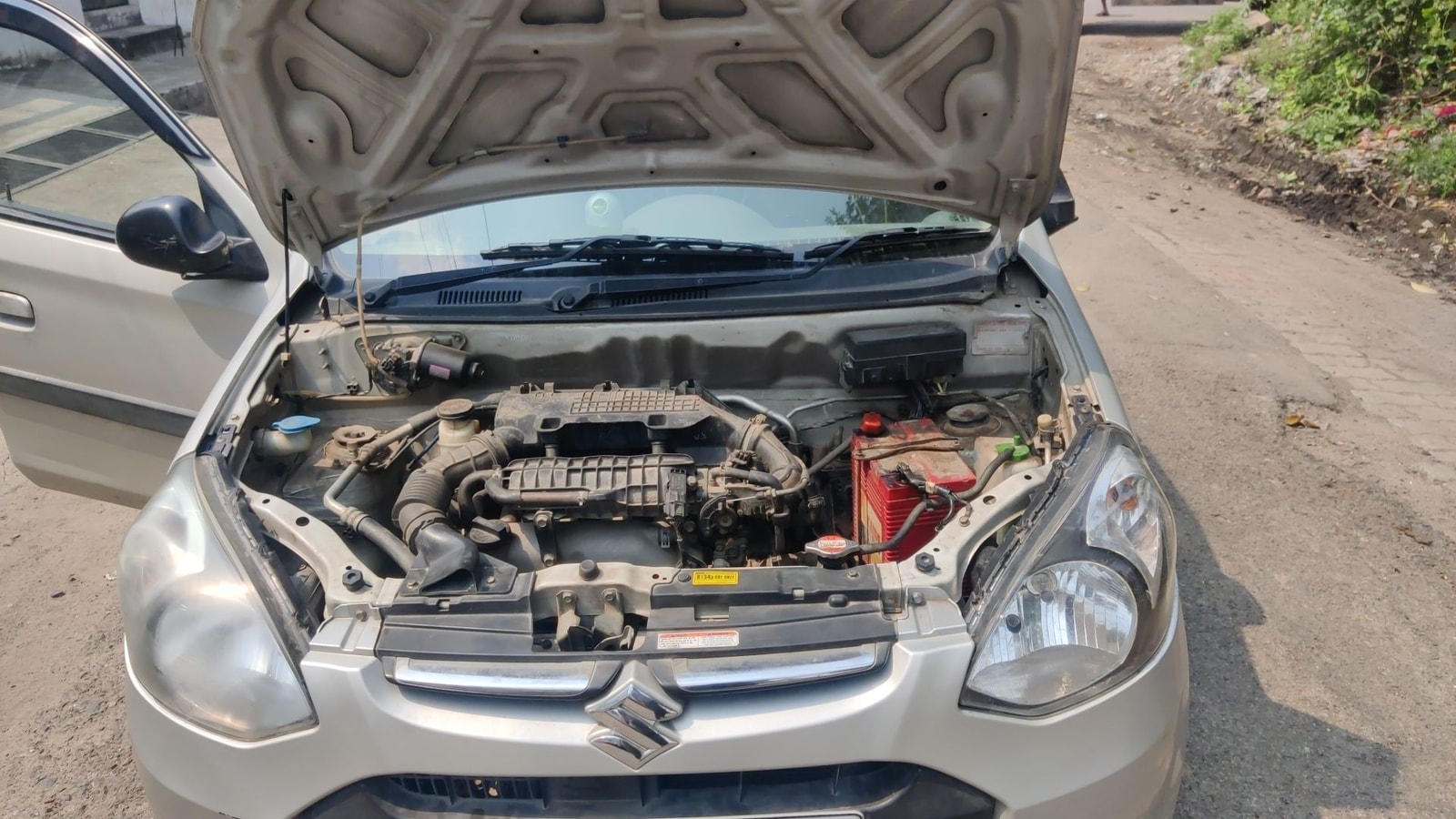 Alto 800 image 13 Alto 800 image 13