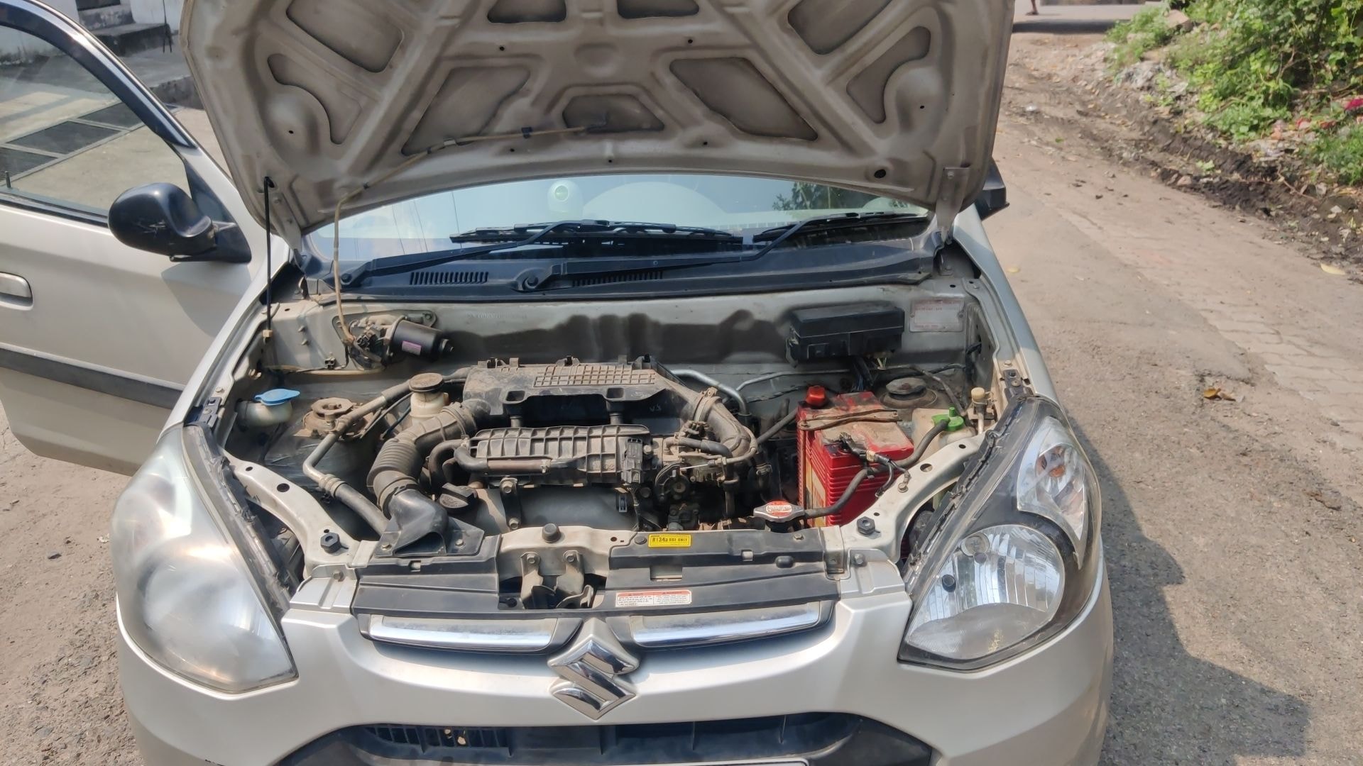 Alto 800 image 13 Alto 800 image 13