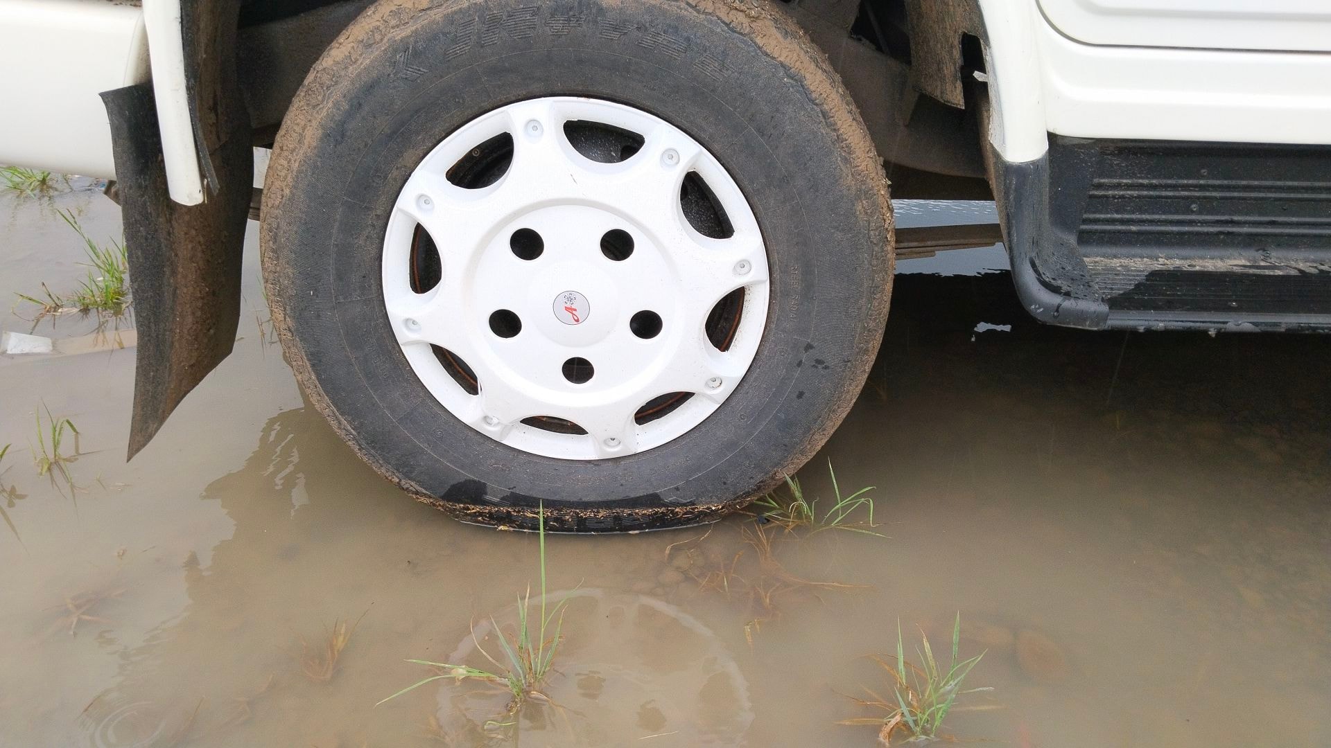 Bolero image 12 Bolero image 12