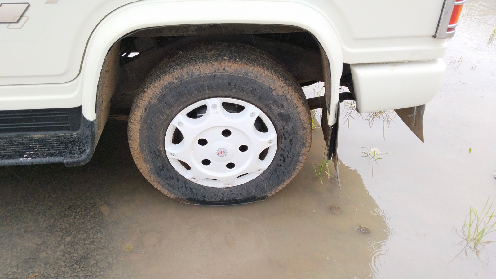 Bolero image 11 Bolero image 11