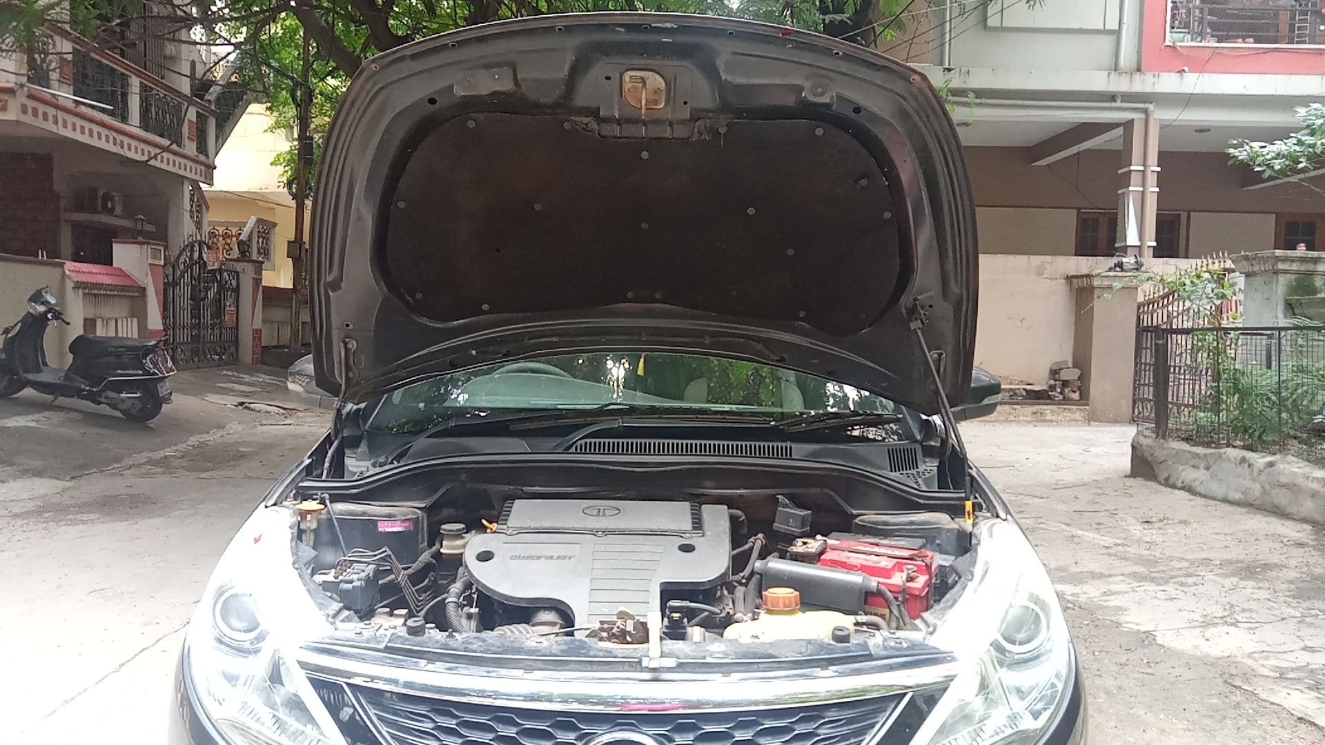 Zest image 13 Zest image 13