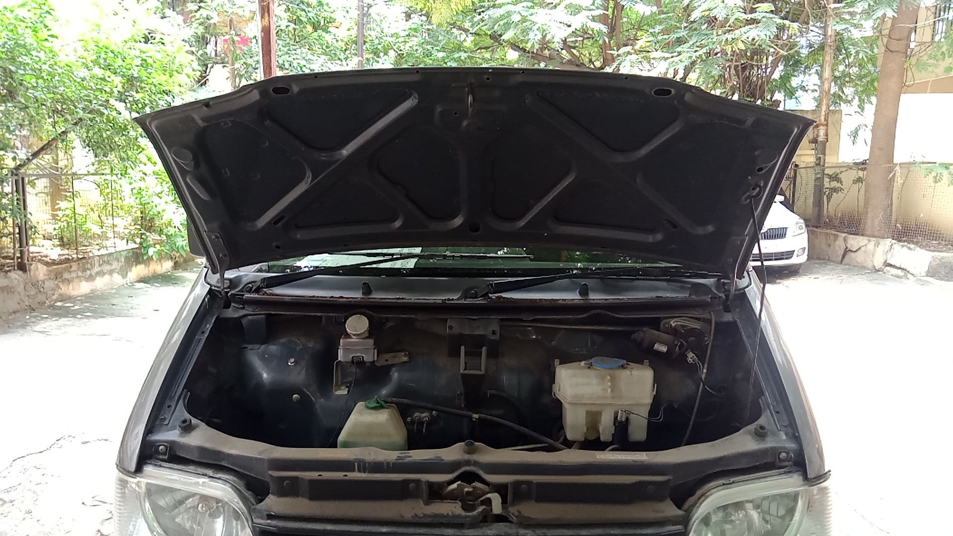 Eeco image 13 Eeco image 13