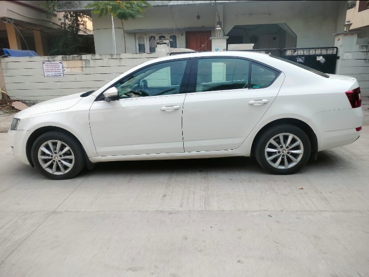 Octavia image 3 Octavia image 3