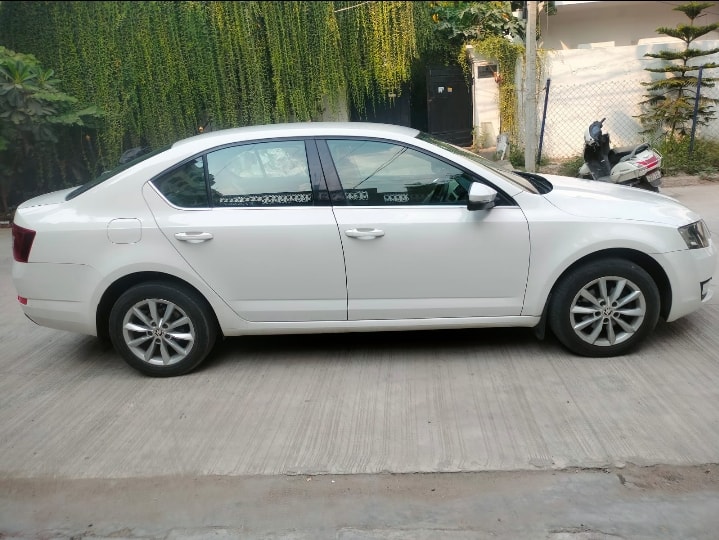 Octavia image 6 Octavia image 6