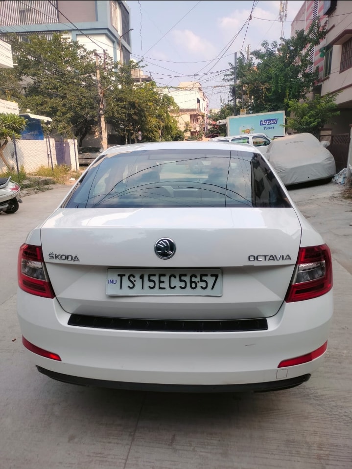 Octavia image 9 Octavia image 9