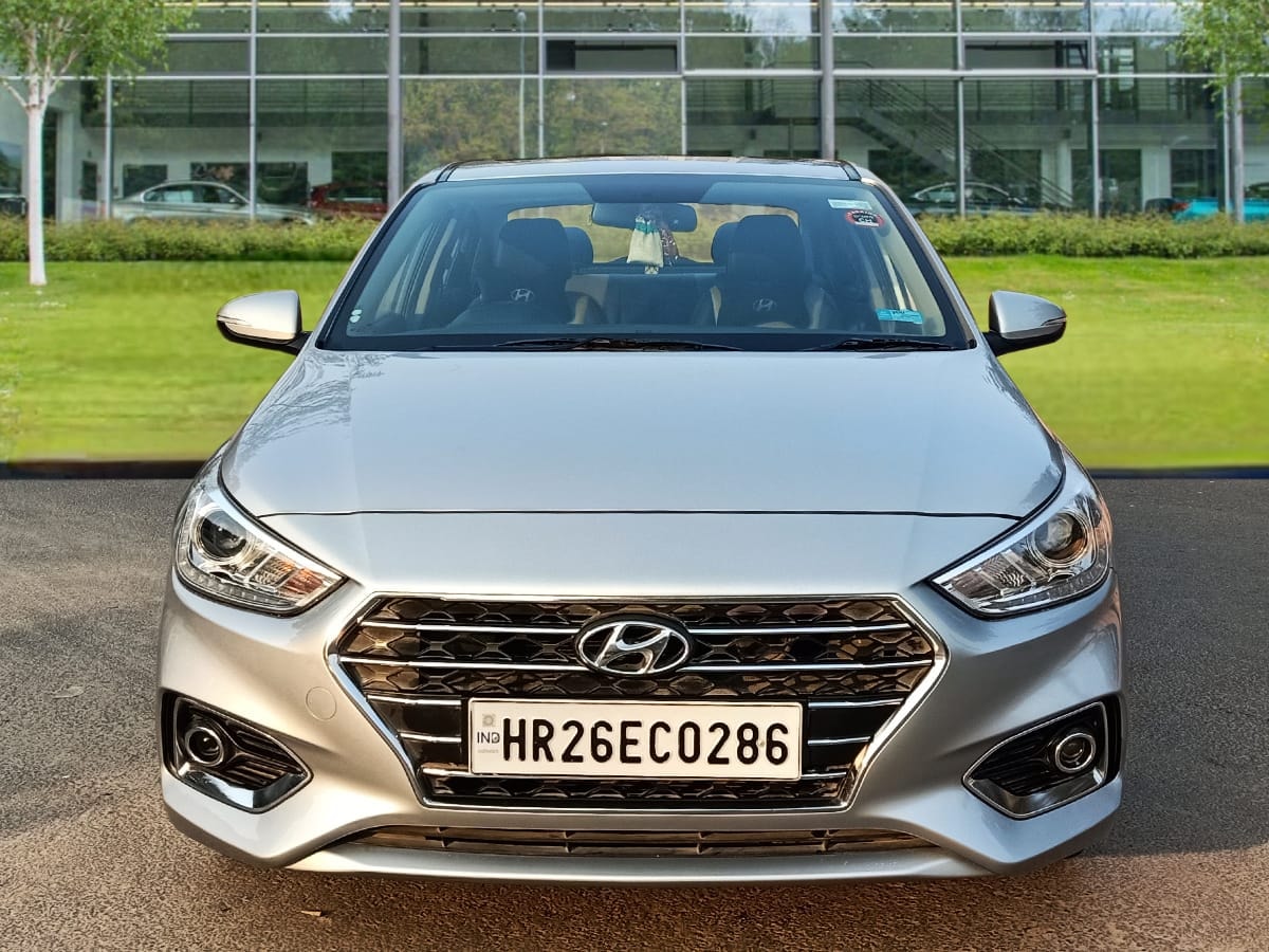 Verna image 1 Verna image 1