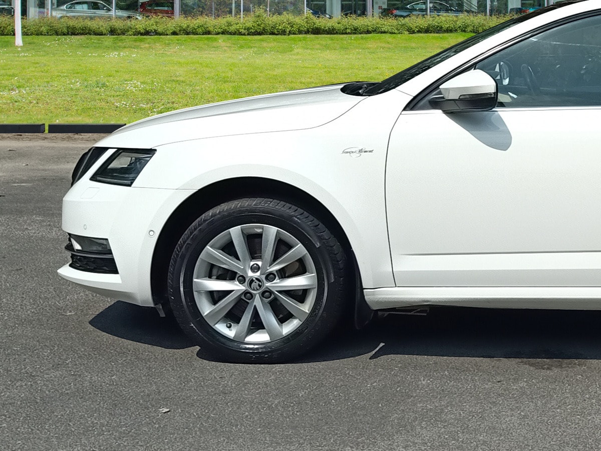 Octavia image 15 Octavia image 15