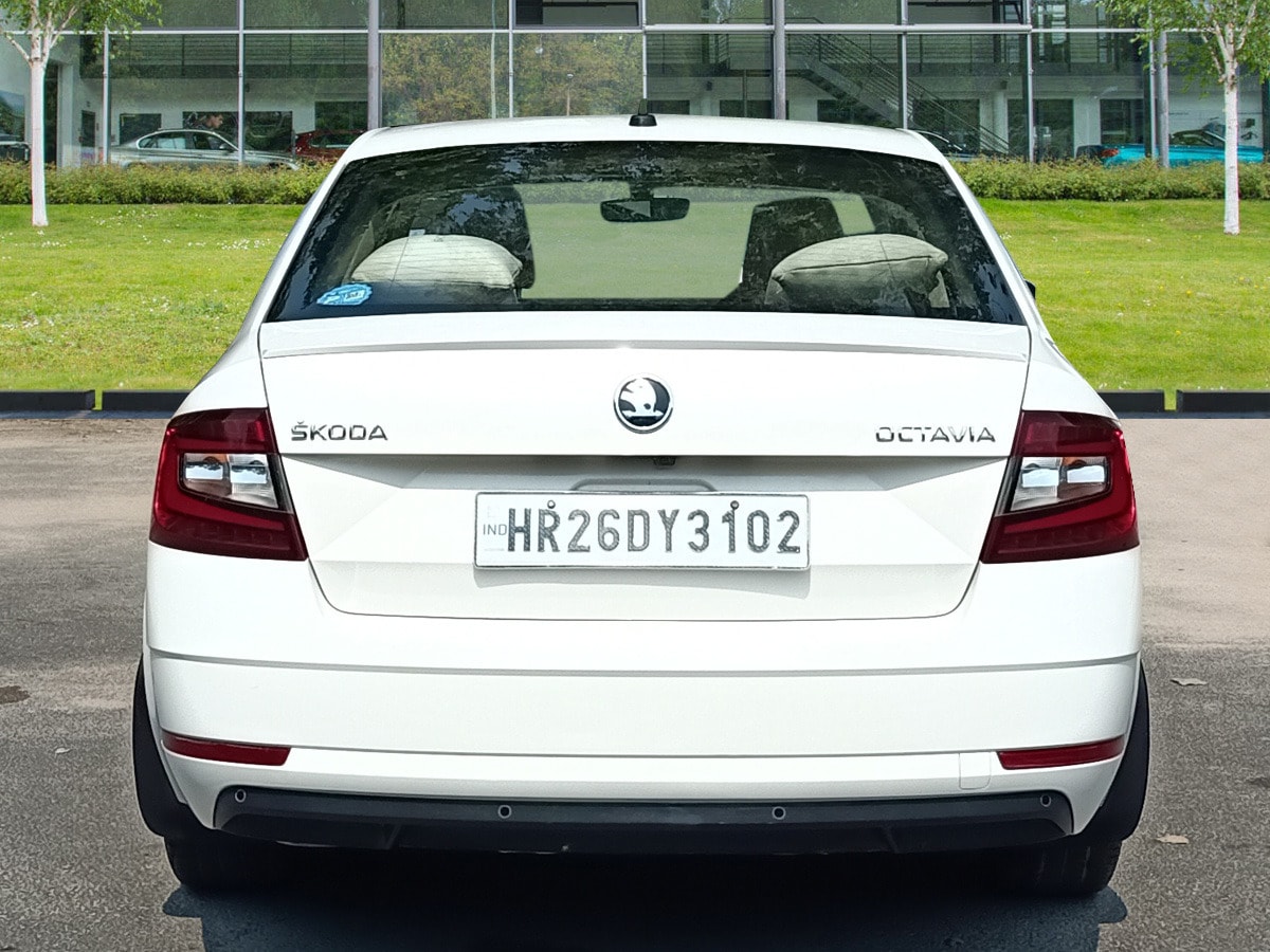 Octavia image 4 Octavia image 4
