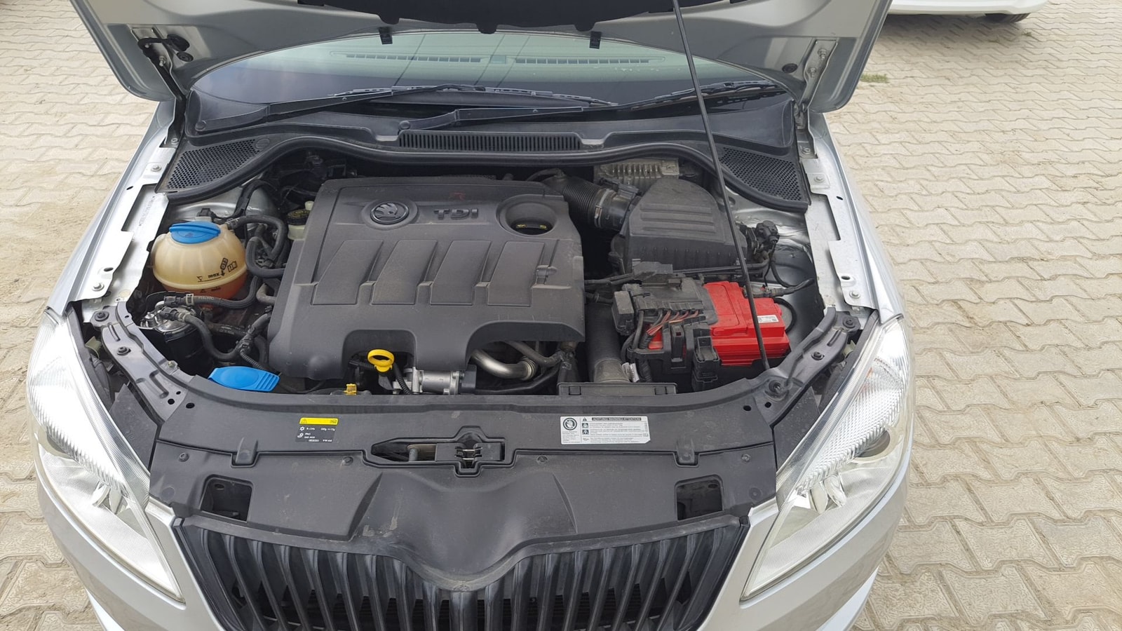 Rapid image 14 Rapid image 14