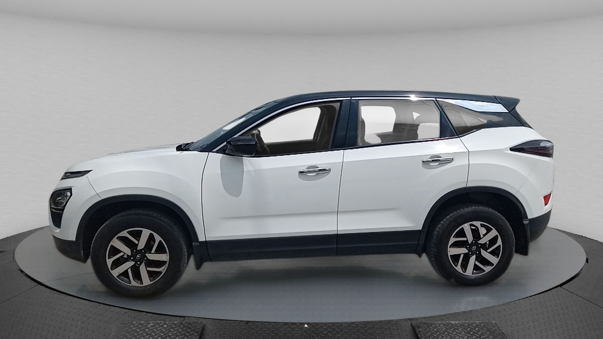 Harrier image 2 Harrier image 2