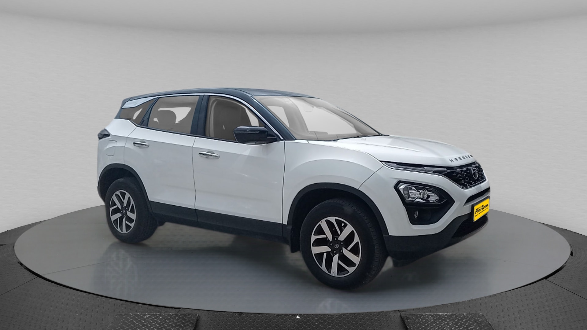 Harrier image 9 Harrier image 9