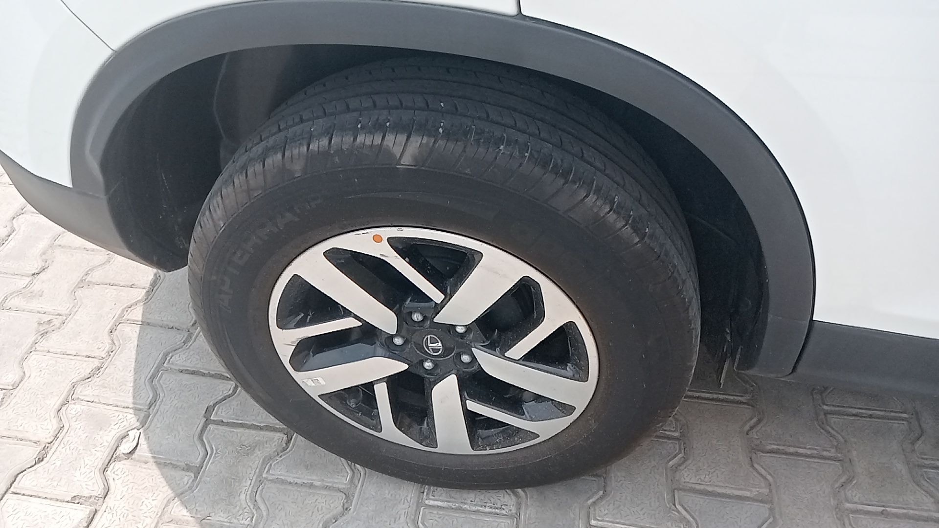 Harrier image 13 Harrier image 13