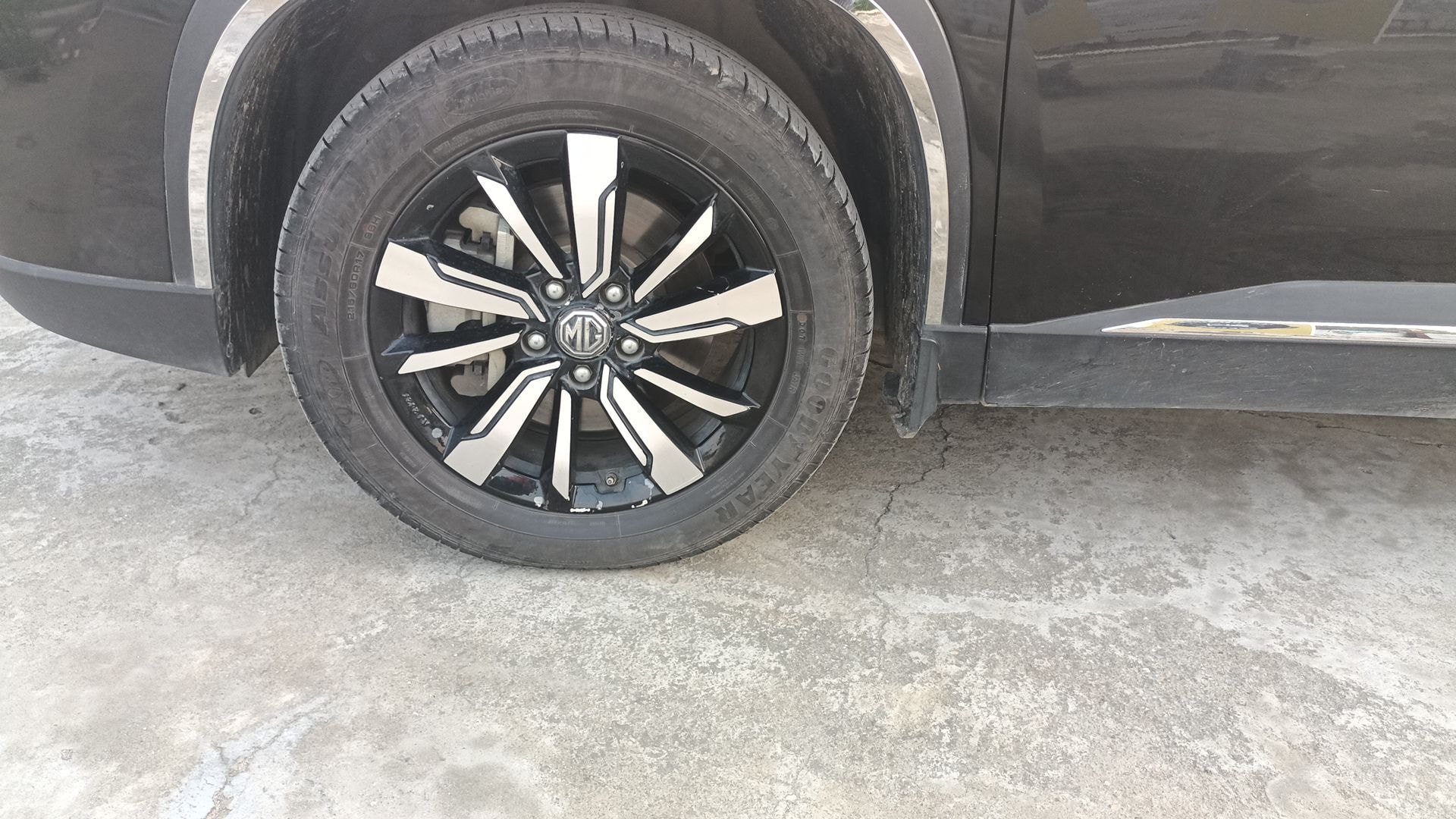 Hector image 12 Hector image 12